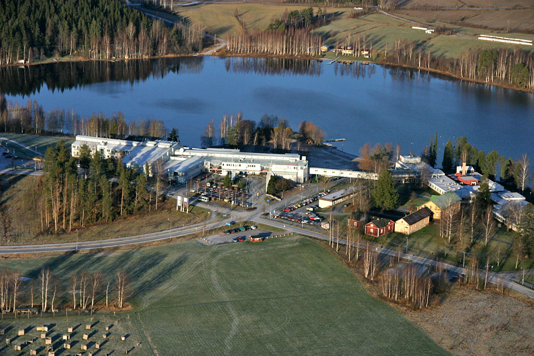 ikaalinen